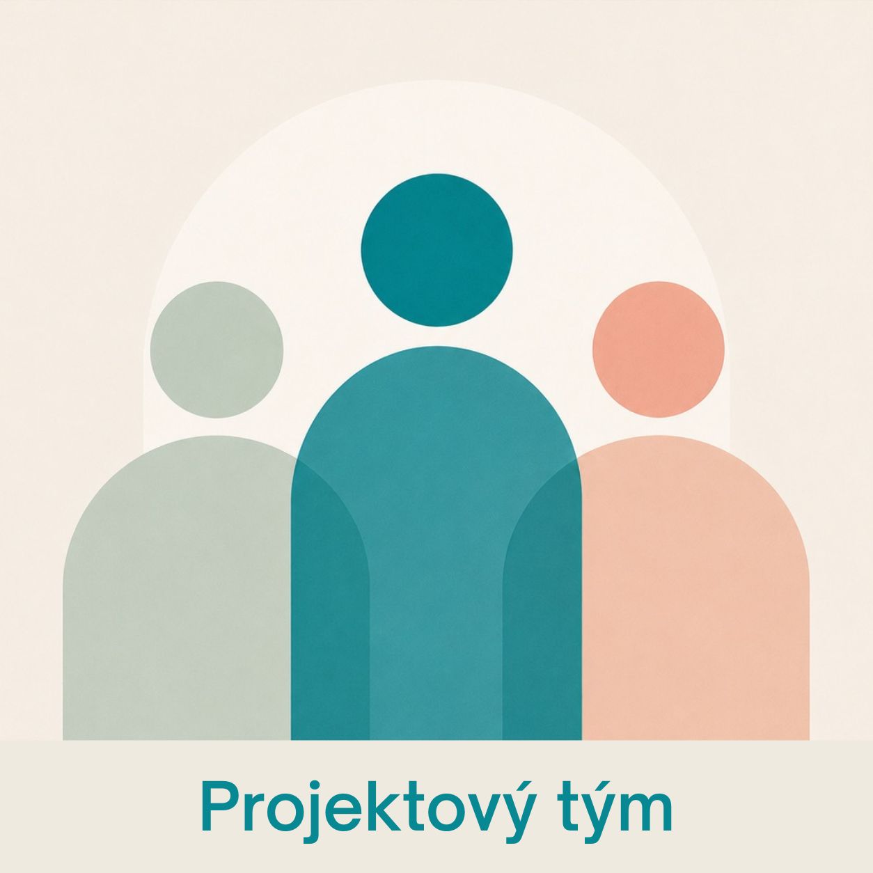 Přejít na stránku Projektový tým